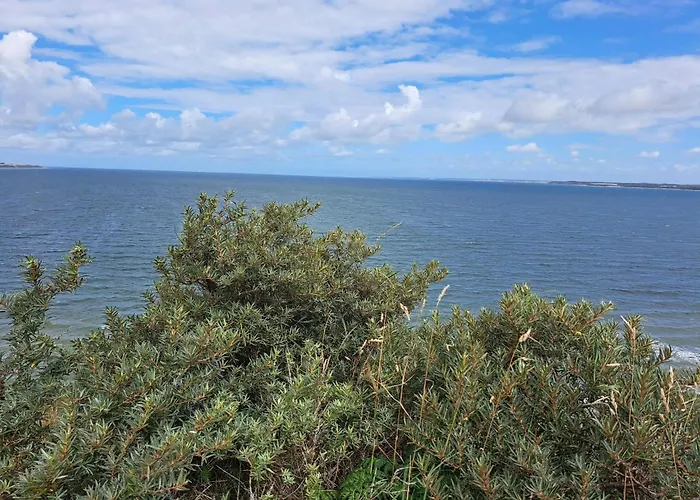 8 Person In Struer-by Traum Struer
